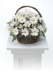 White Daisy Basket Arrangement from Yesterday's and Tomorrows in Warner Robins, GA