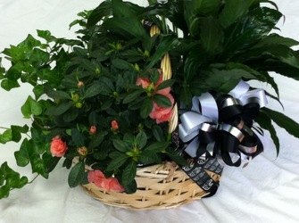 Triple Plant Garden Basket from Yesterday's and Tomorrows in Warner Robins, GA
