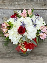 BeMineHydrangea from Yesterday's and Tomorrows in Warner Robins, GA